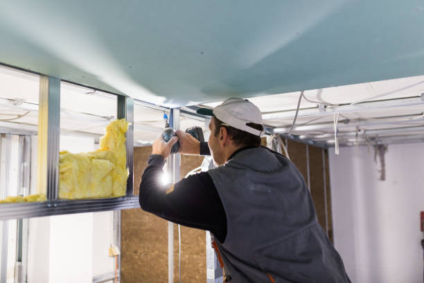 Best Spray Foam Insulation  in Plattsburgh, NY