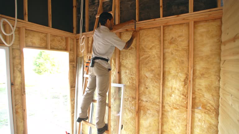 Best Batt and Roll Insulation  in Plattsburgh, NY