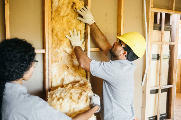 Best Spray Foam Insulation  in Plattsburgh, NY