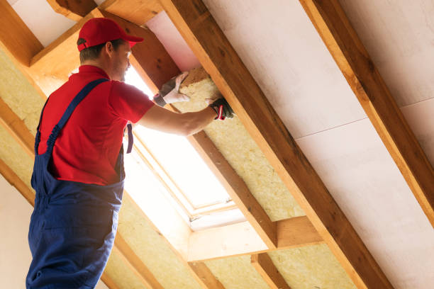 Eco-Friendly or Green Insulation Solutions in Plattsburgh, NY